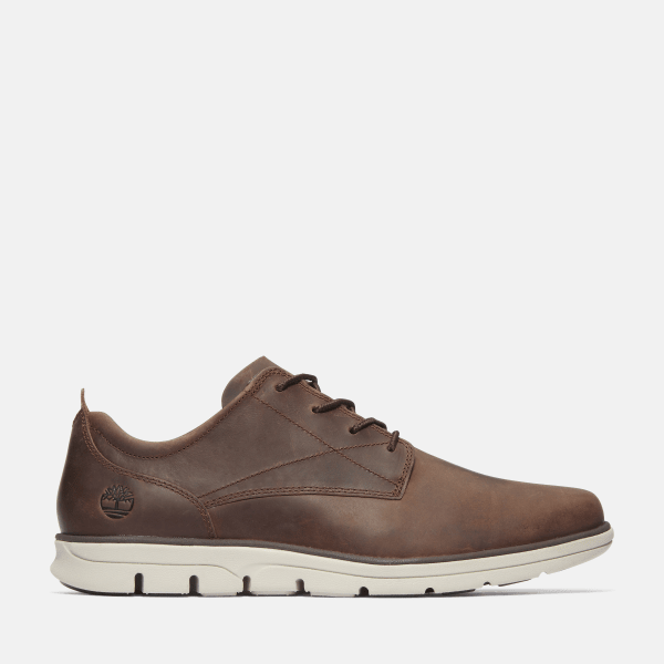 Timberland - Bradstreet Low-Top-Sneaker zum Schnüren für Herren in Dunkelbraun, Mann, Braun, Größe: 40