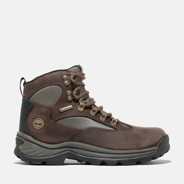 Timberland - Chocorua Hiking Boot with GORE-TEX membrane for Women in Dark Brown