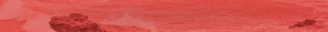 Summer Sale