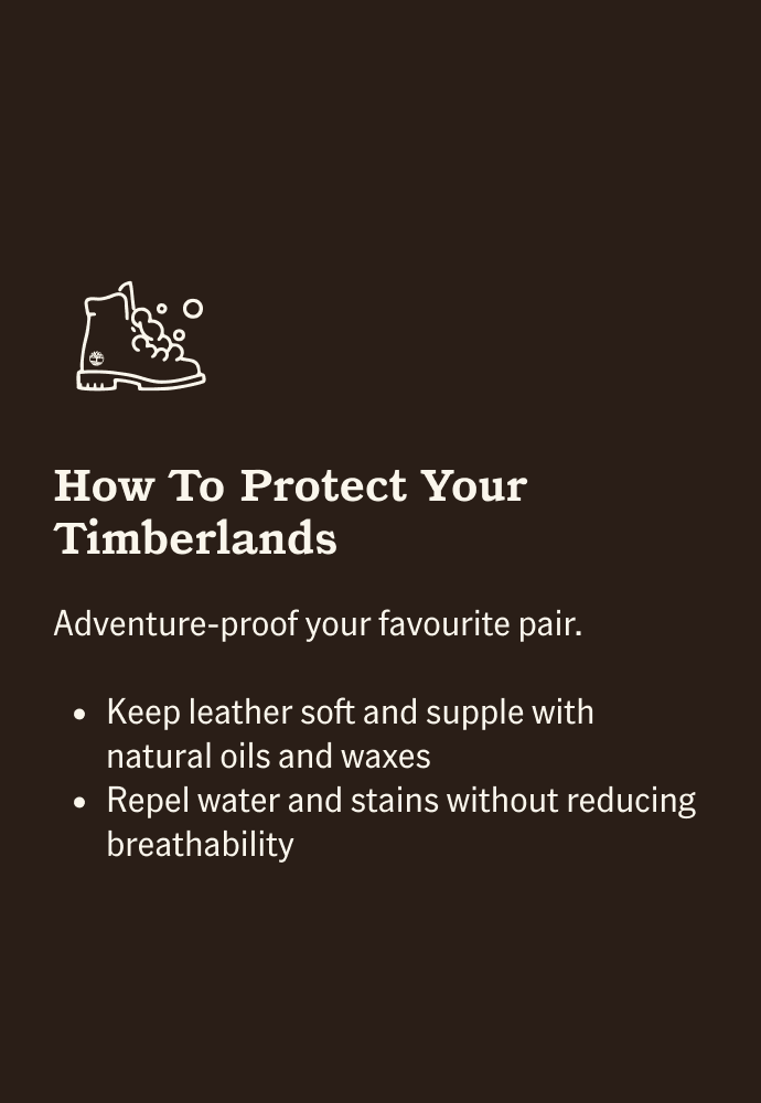 How To Restore Your TBL