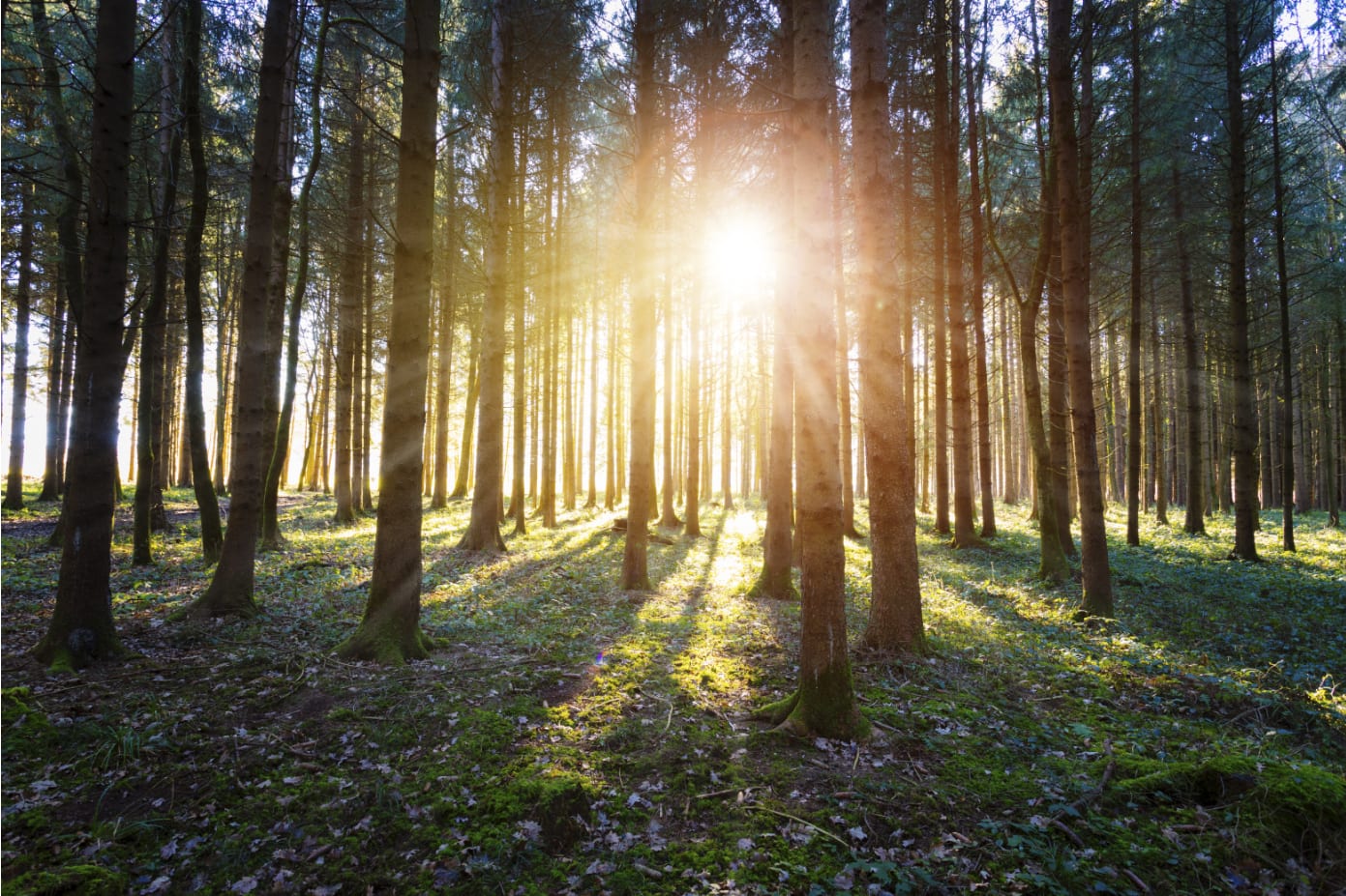 DIY Sustainable Fashion: A Guide to Creating a More Eco-Friendly Wardrobe