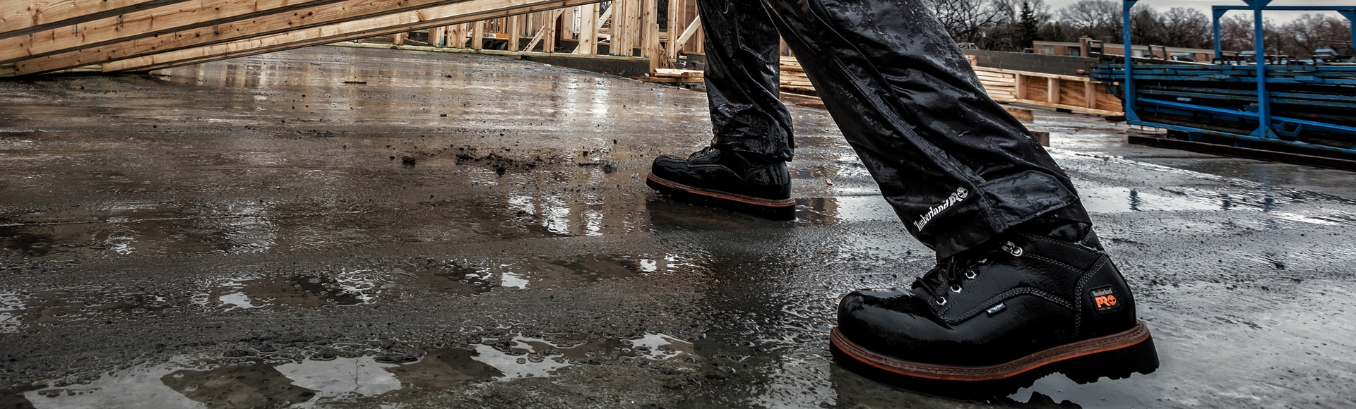 Treedom project - Timberland