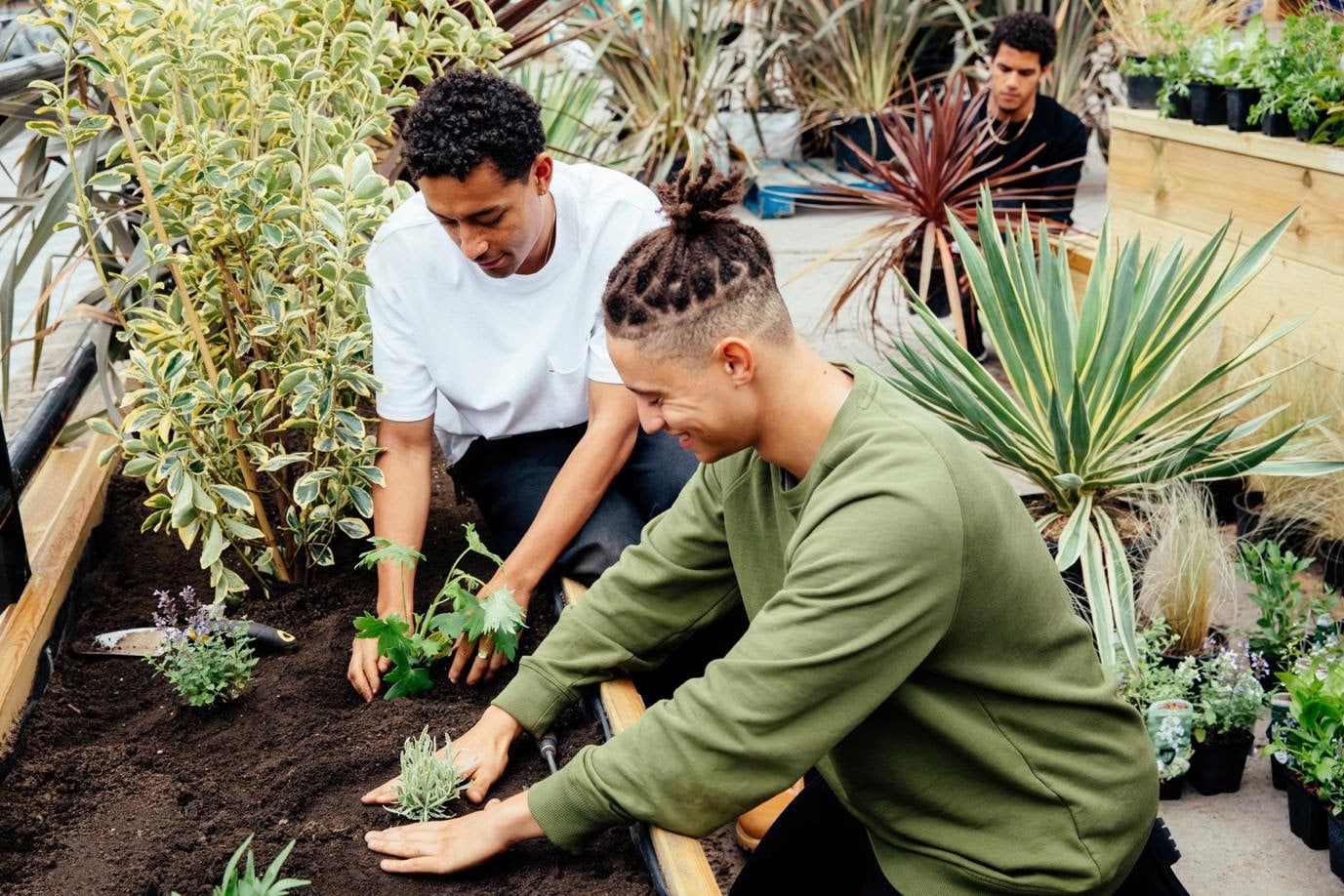 loyle-planting-with-community