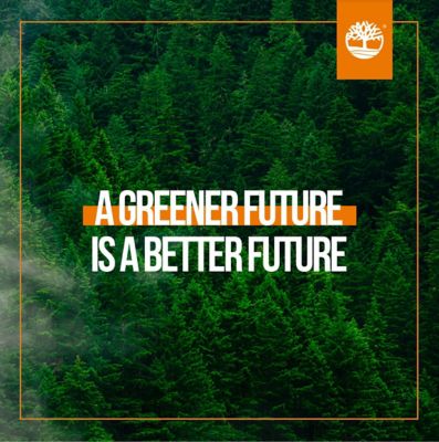 greener_future_timberland