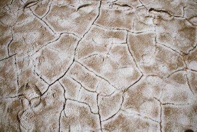 Desert