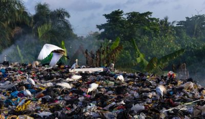 Plastic waste on ground