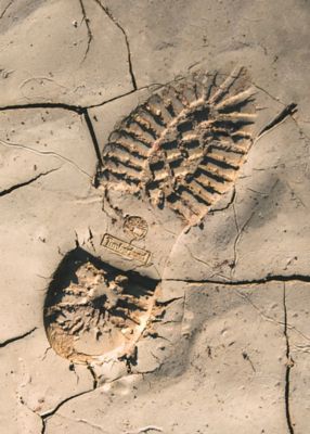 Timberland footprint in the sand