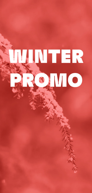 Winter Promo