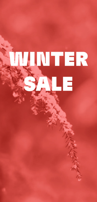 Winter Promo
