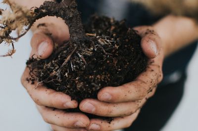 Earth day