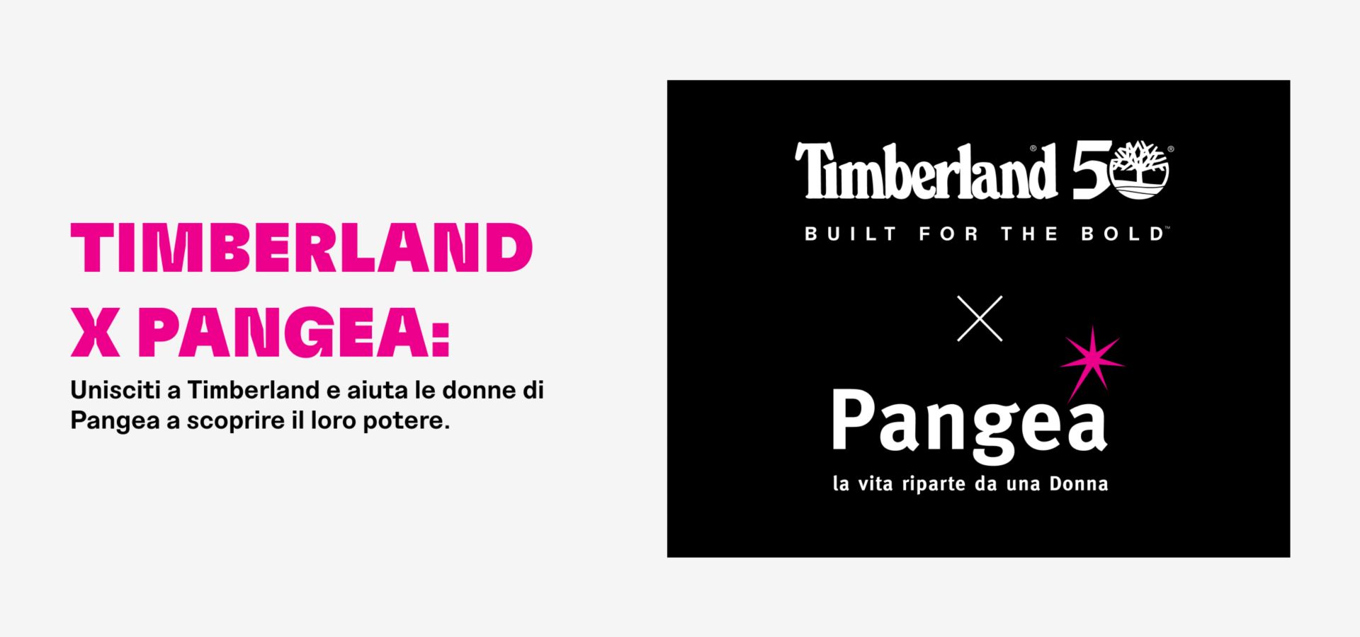 Timberland X Pangea