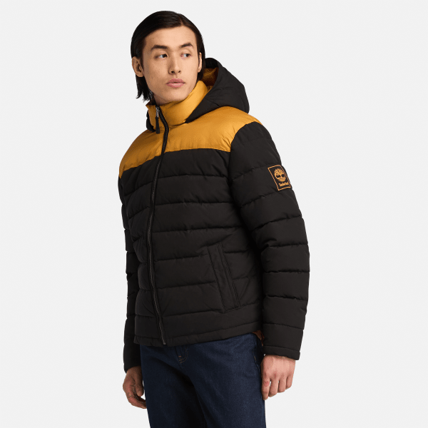 Timberland - South Twin Jas voor heren in zwart, Man, geel, Grootte: XL