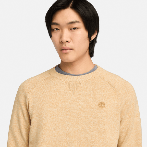 Phillips Brook Raglan Jumper for Men in Light Yellow