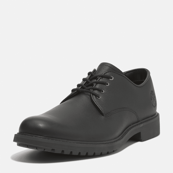 Stormbucks Lace Up Waterproof Shoe for Men in Black