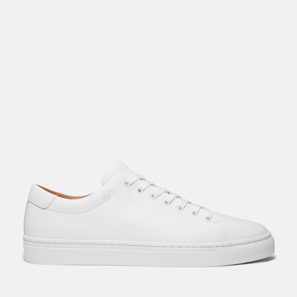 Timberland - Dover Park Trainer for Men in White, Man, White, Size: 4.5
