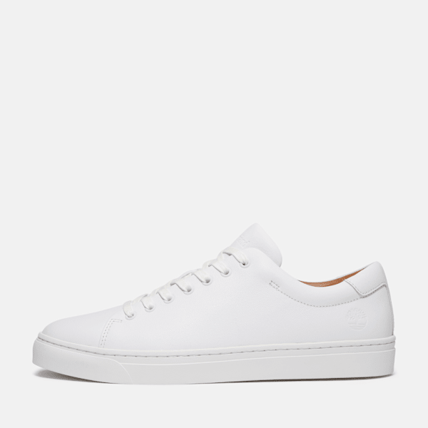 Zapatillas Dover Park para hombre en blanco