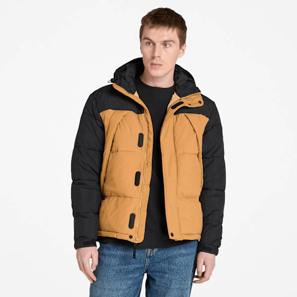 Timberland - Durable Water-Repellent Puffer Jacket for Men in Black/Yellow, Man, Black, Size: 3XL
