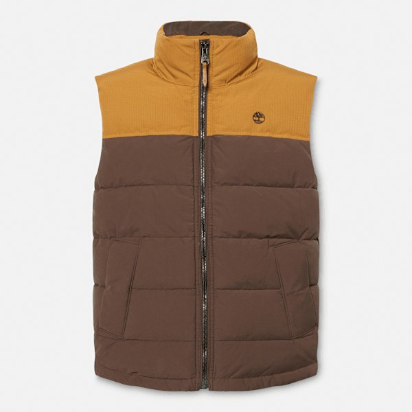 Welch Mountain Durable Water-Repellent Puffer Gilet for Men in Brown