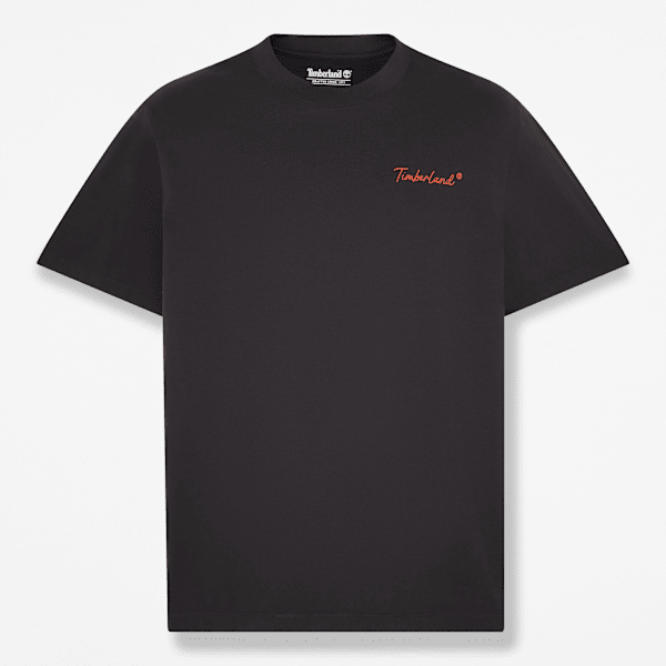 New Hampshire Heritage Graphic T-Shirt for Men in Black