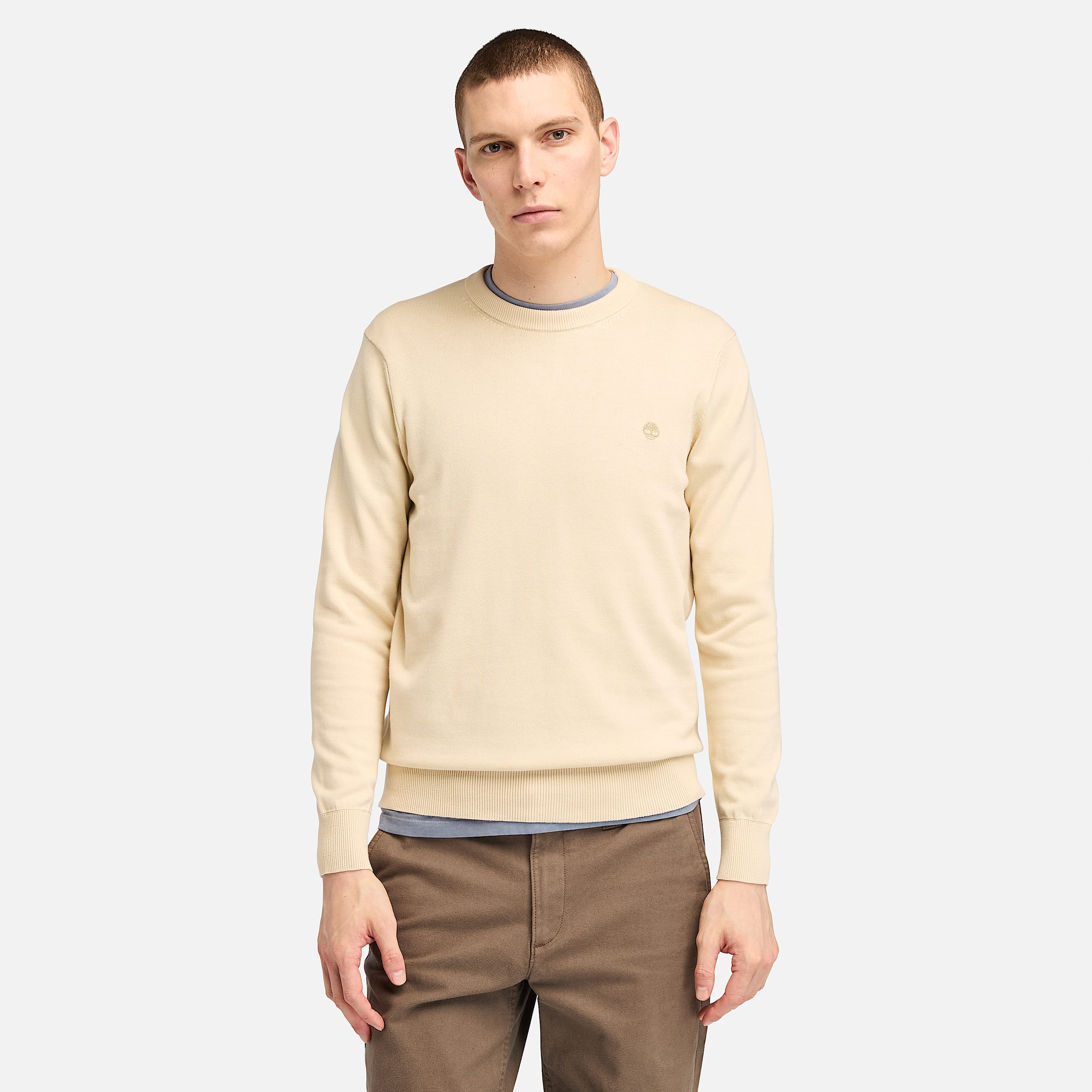 Pull en coton Williams River pour homme en beige TBL beige HERO