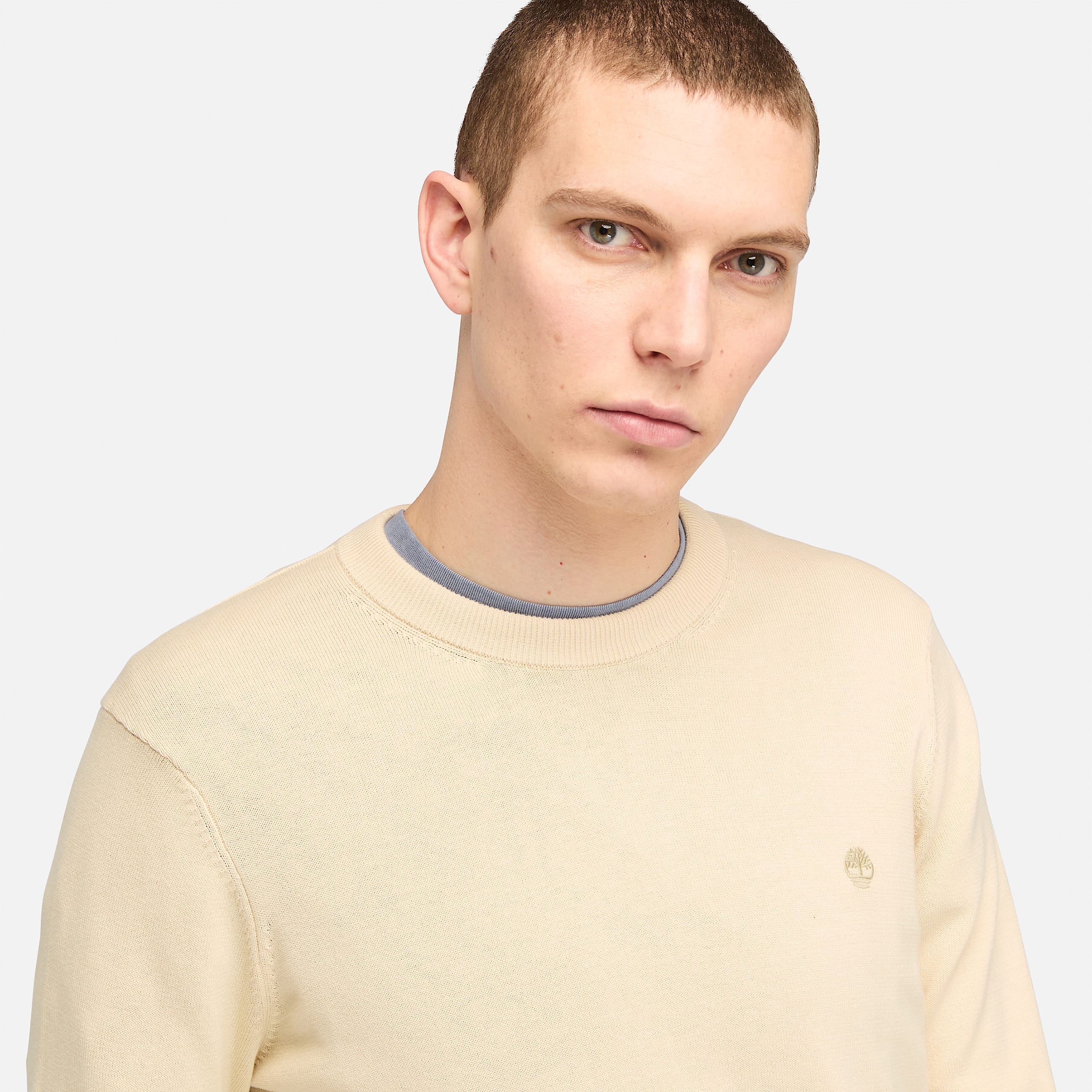 Pull en coton Williams River pour homme en beige TBL beige ALT2