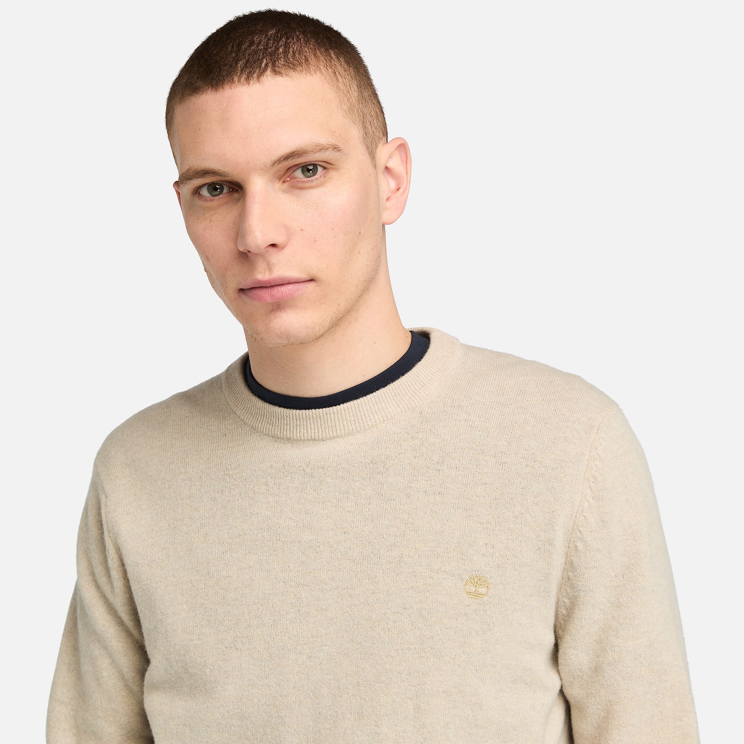 Pull en laine mrinos  col rond Cohas Brook Timberland pour homme en beige TBL beige ALT2