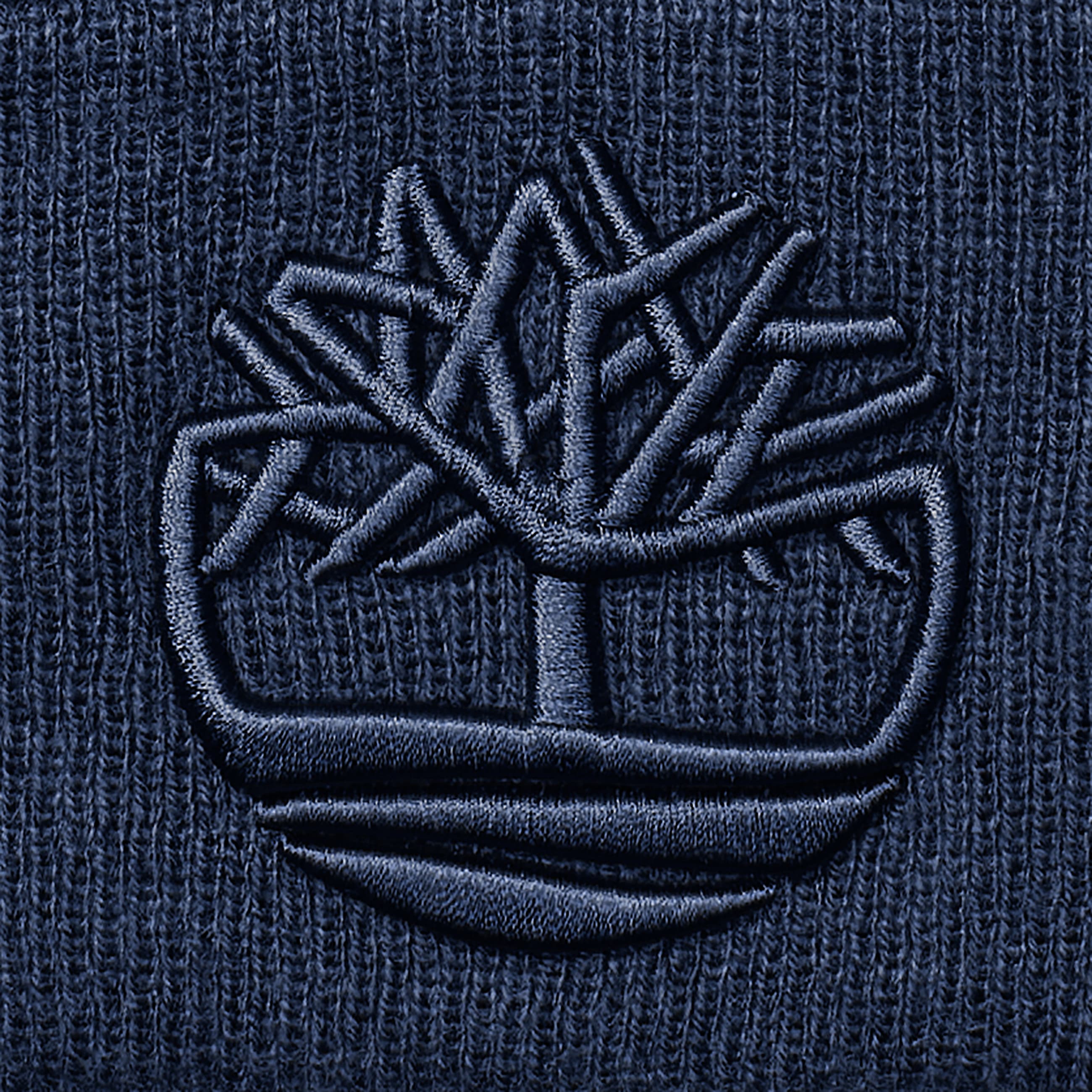 3D Embroidered Beanie for Men in Dark Blue TBL Blue ALT2