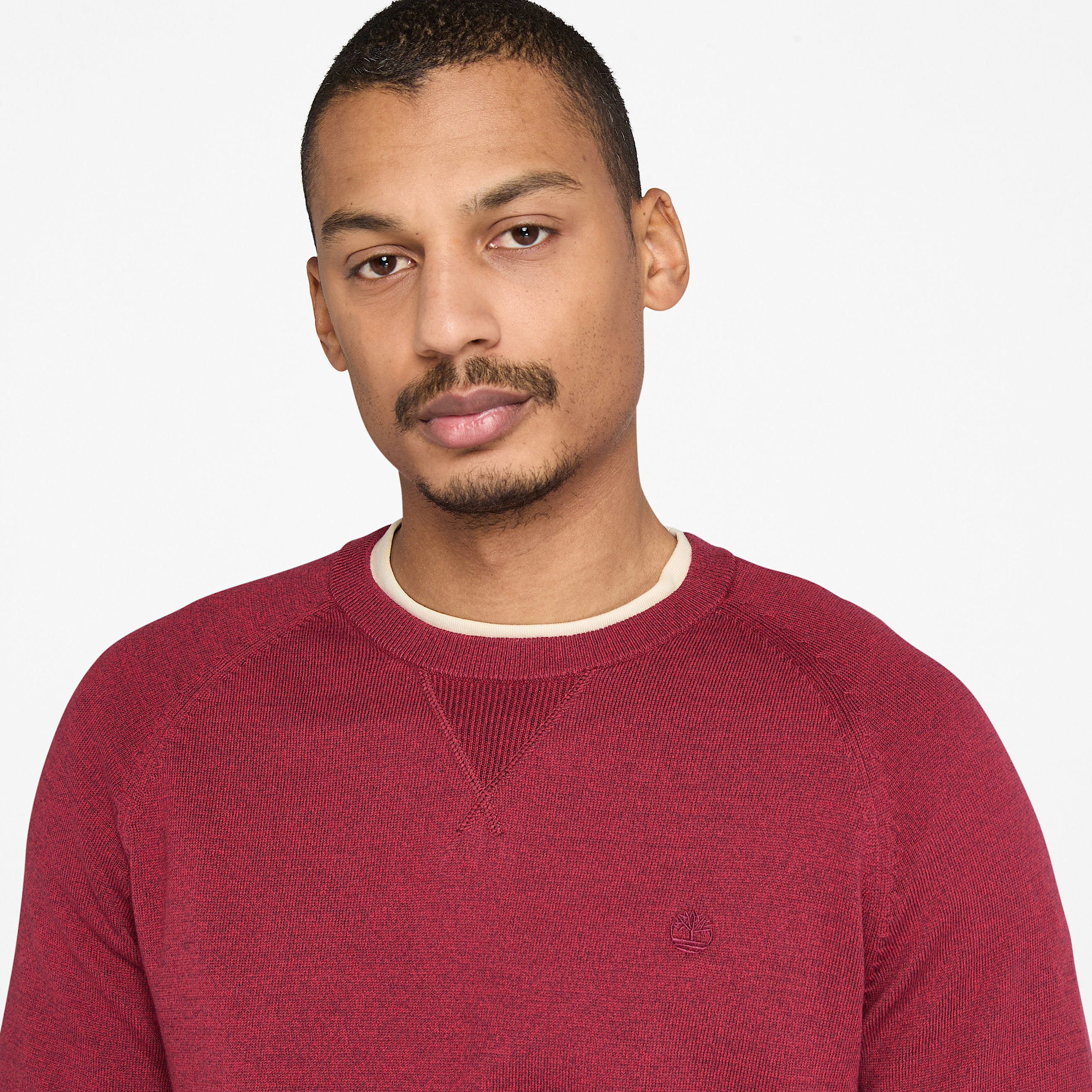 Pull en coton  col rond et manches raglan Williams River pour homme en bordeaux TBL bordeaux ALT2