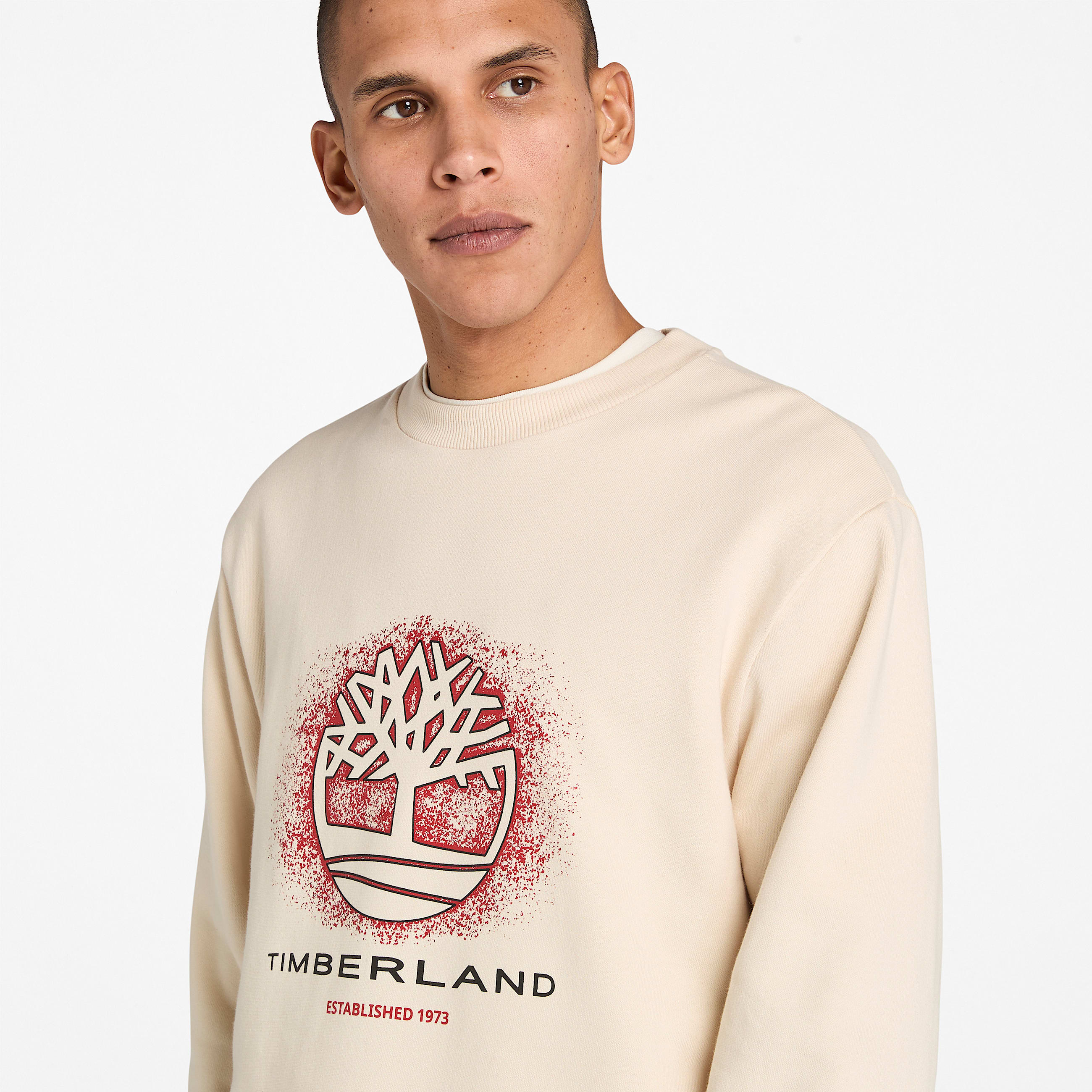 Sweat  col rond et motif saisonnier pour homme en beige TBL beige ALT2