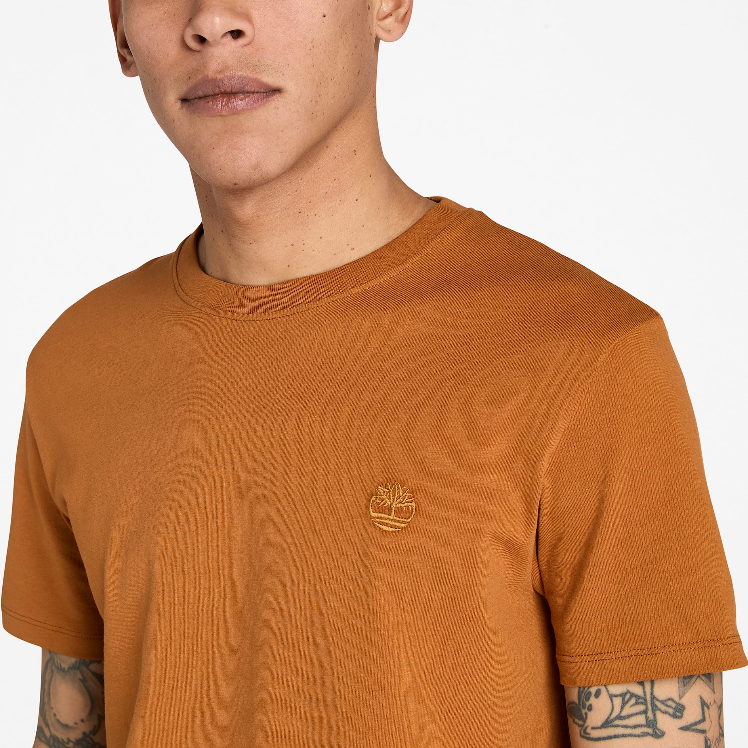 Tshirt  manches courtes Dunstan River pour homme en Marron TBL marron ALT2