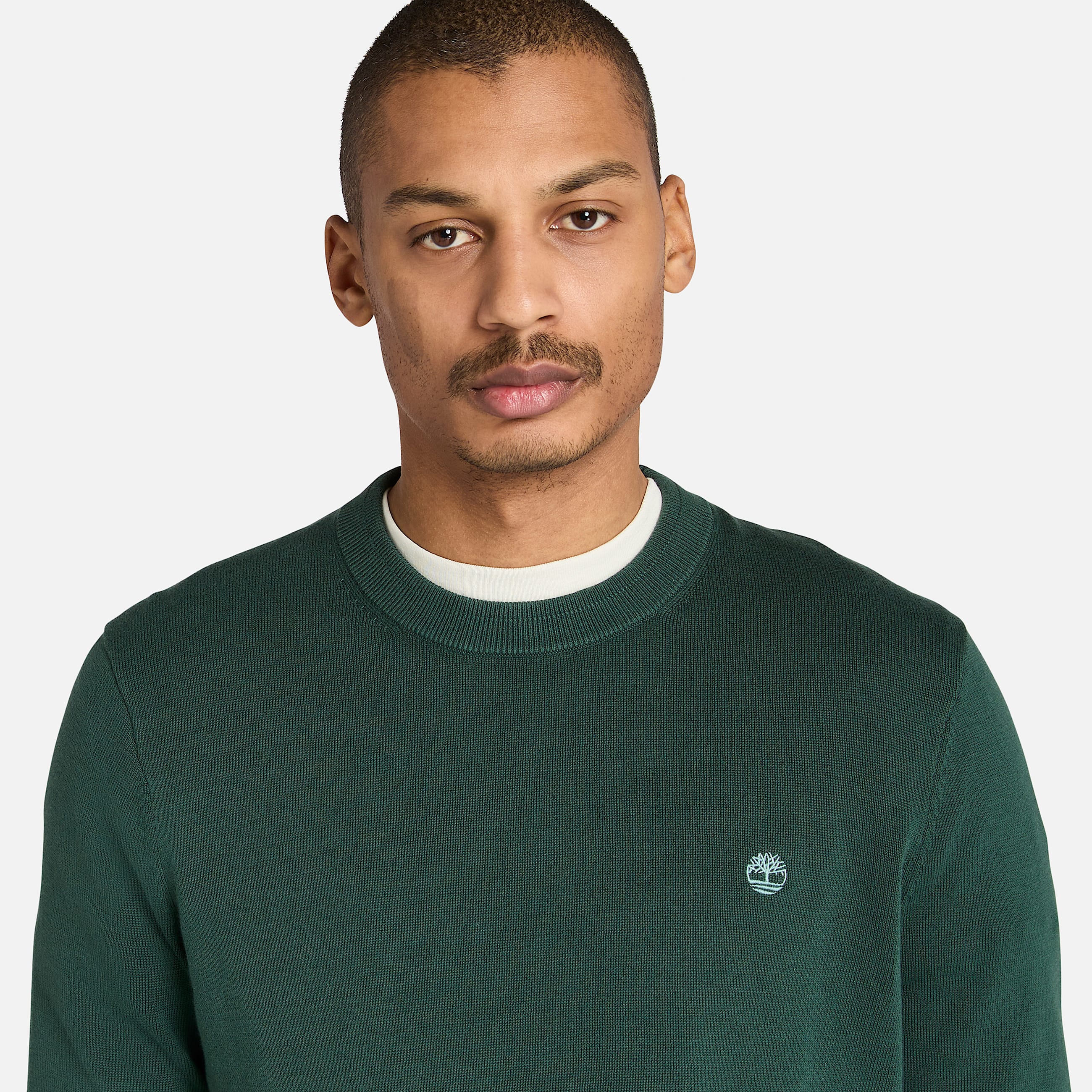 Williams River Cotton Jumper for Men in Dark Green TBL Green ALT2