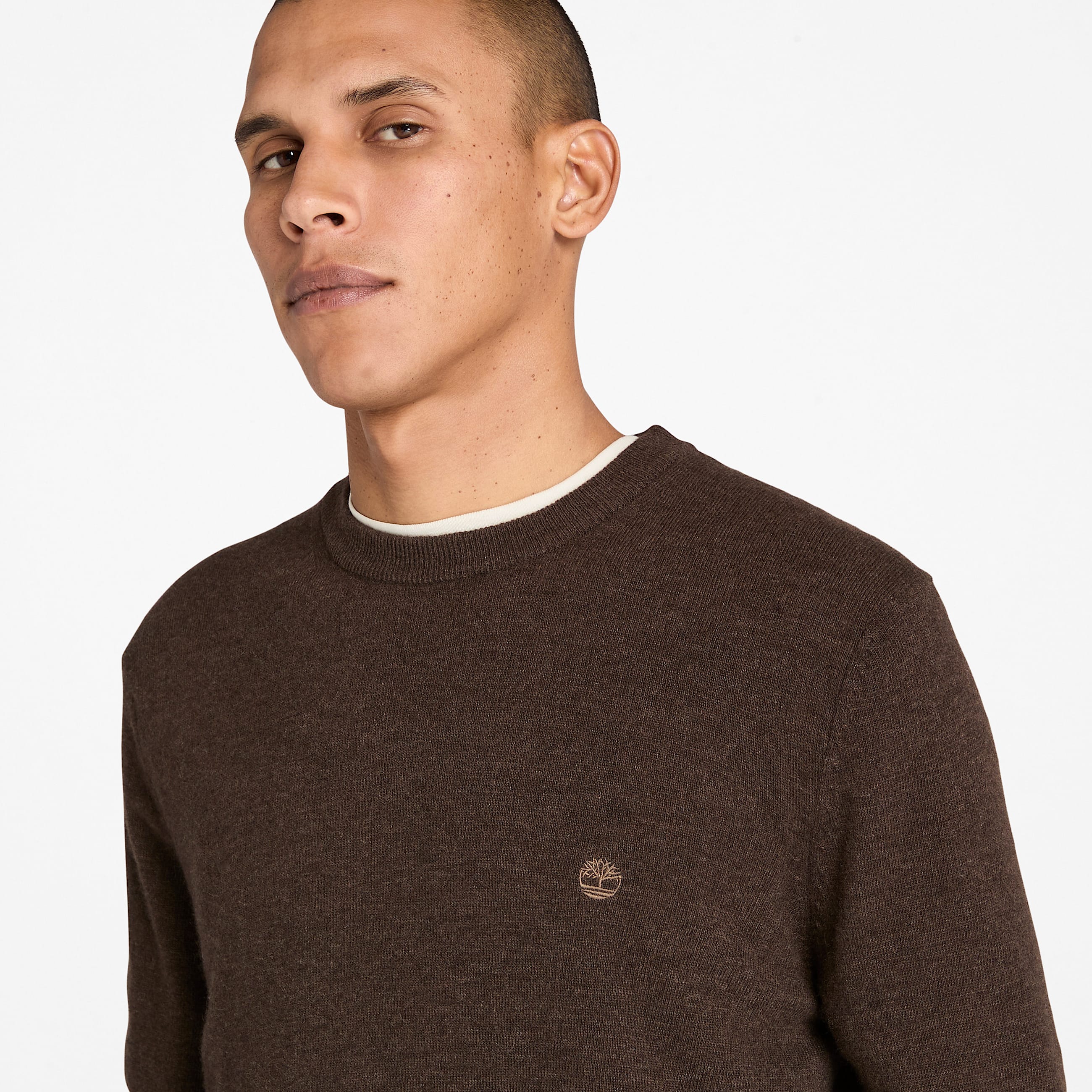 Pull en laine mrinos  col rond Cohas Brook Timberland pour homme en marron TBL marron ALT2