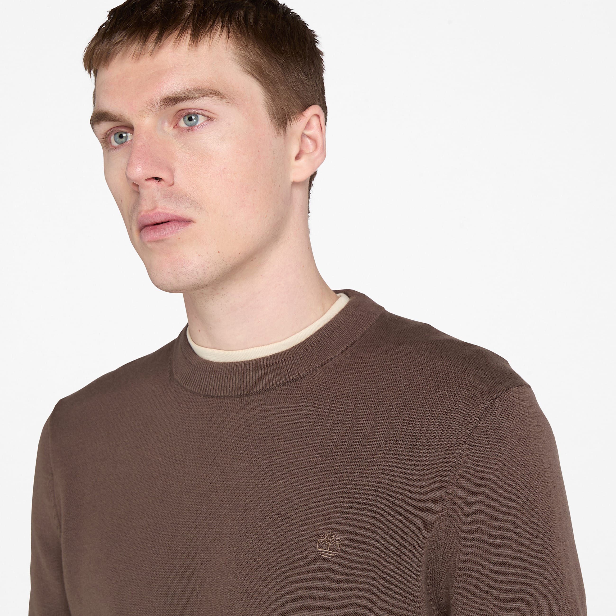 Williams River Cotton Jumper for Men in Brown TBL Brown ALT2