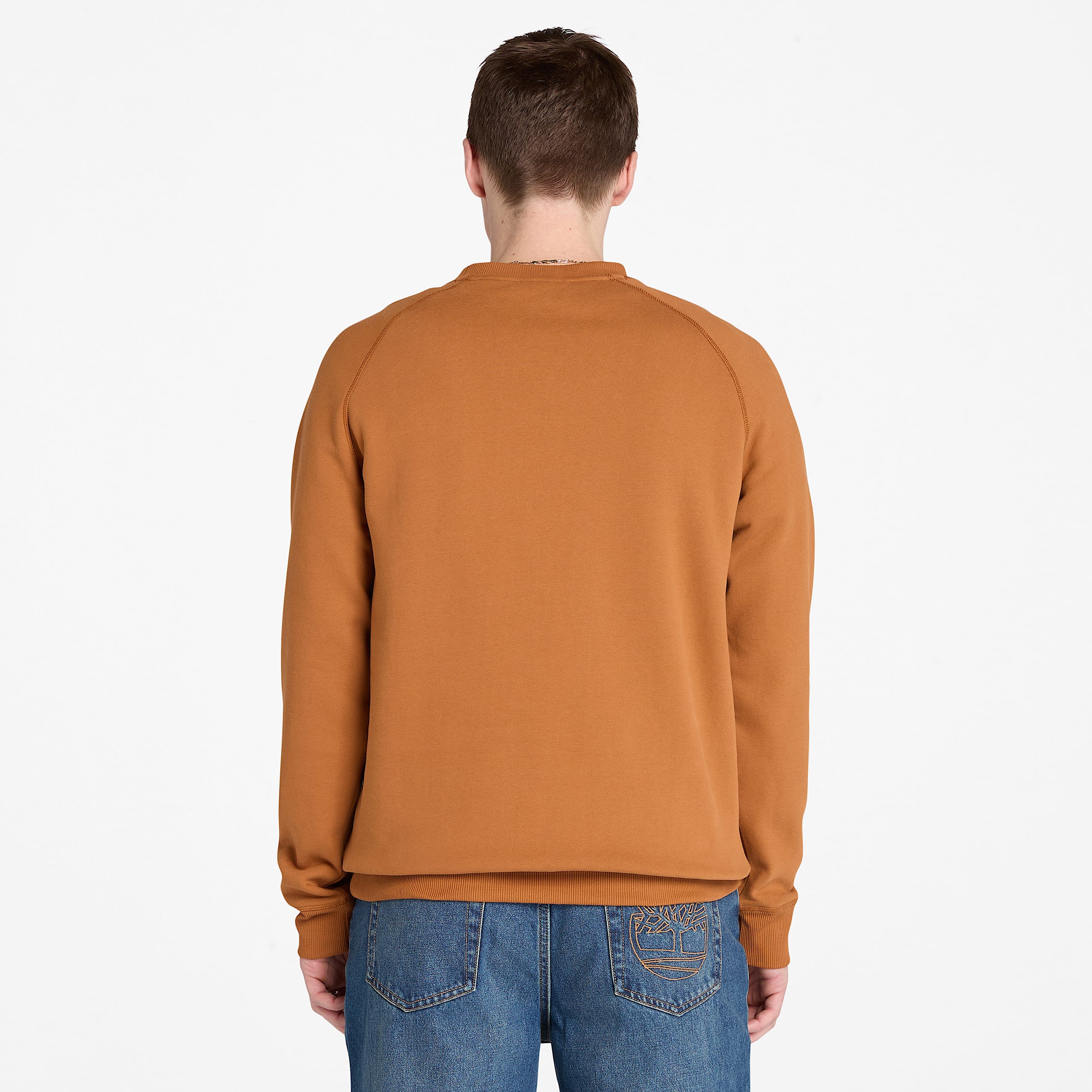 Exeter River Brushed Back Crewneck Sweatshirt for Men in Brown TBL Brown ALT9