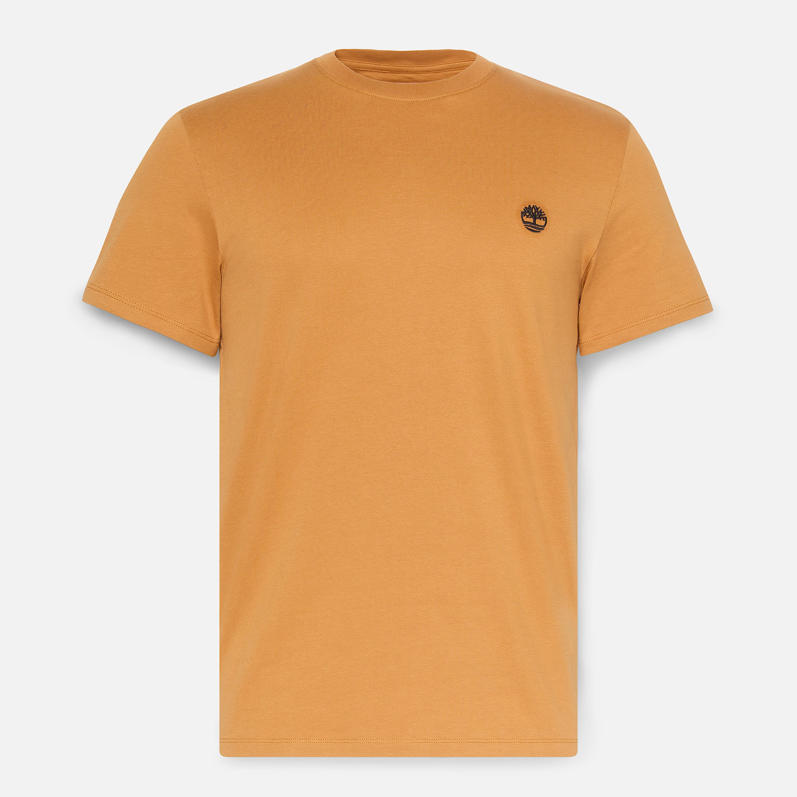 Tshirt  manches courtes Dunstan River pour homme en jaune TBL jaune HERO