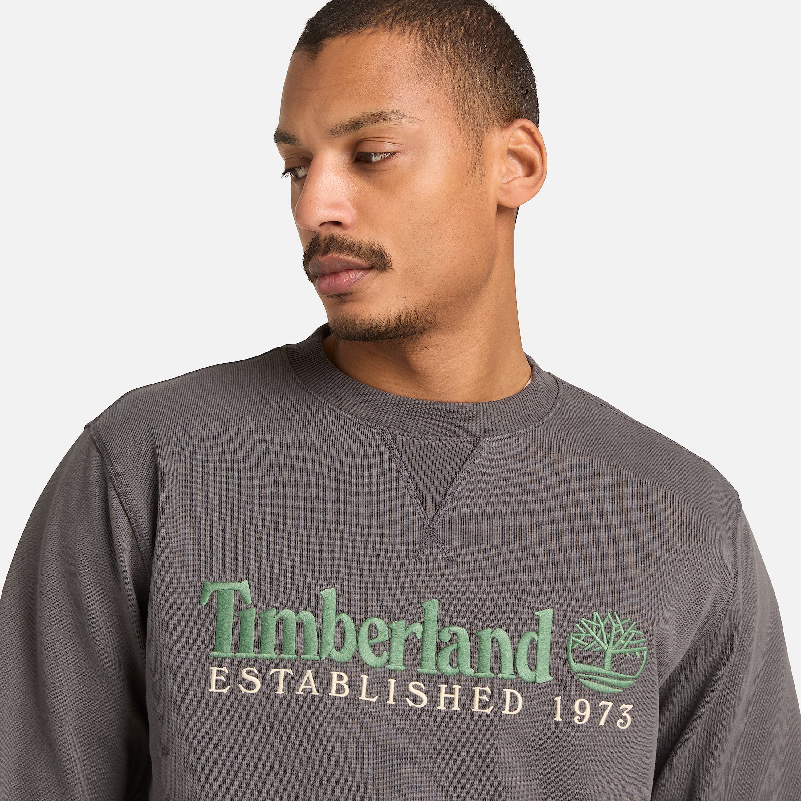 Established 1973 Crewneck Sweatshirt for Men in Black TBL Black ALT3