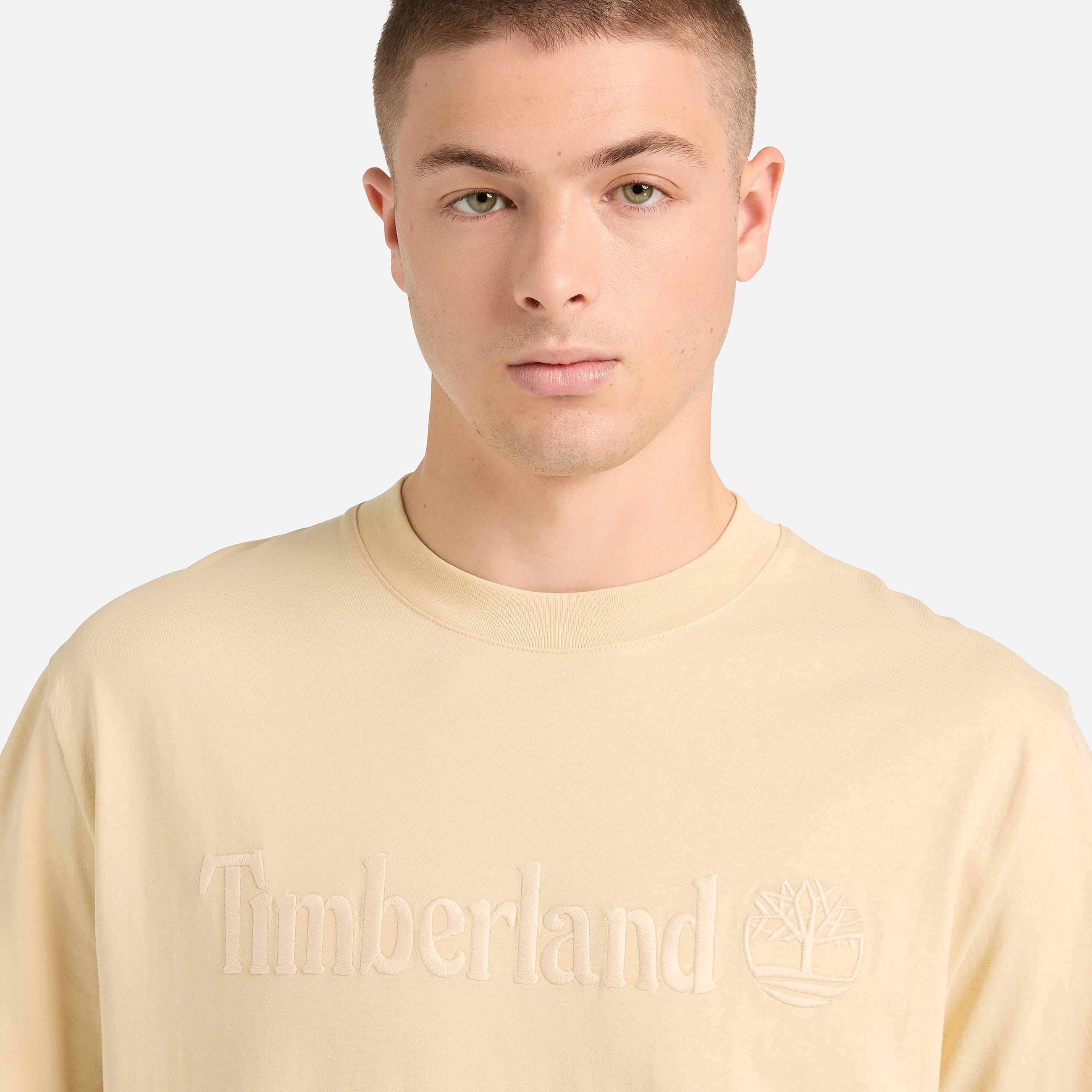 Hampthon KurzarmTShirt fr Herren in Beige TBL Beige ALT3