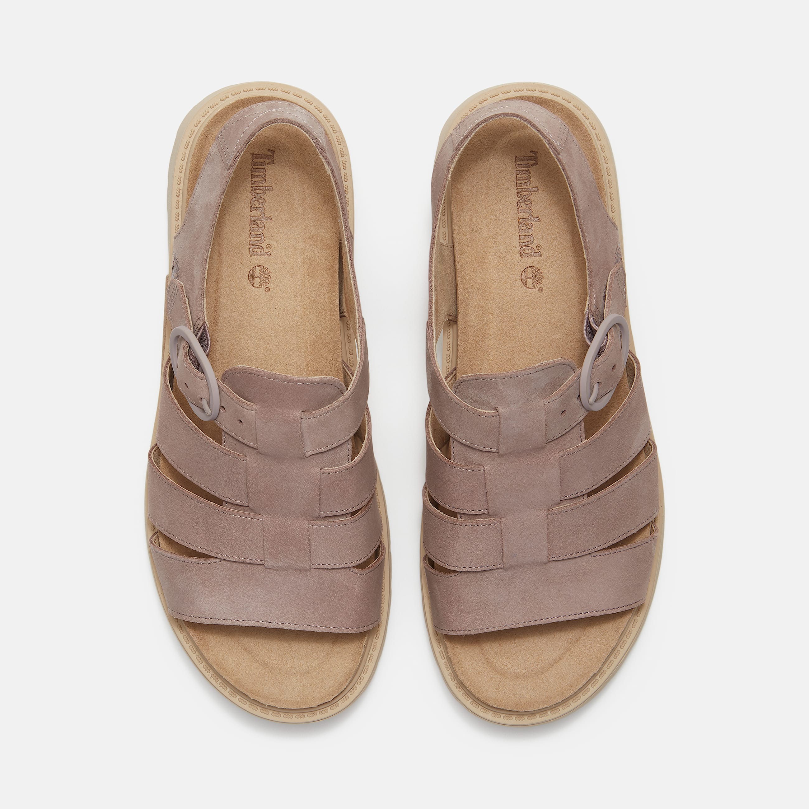 Clairemont Way Fisherman Sandal for Women in Light Purple TBL Purple ALT2