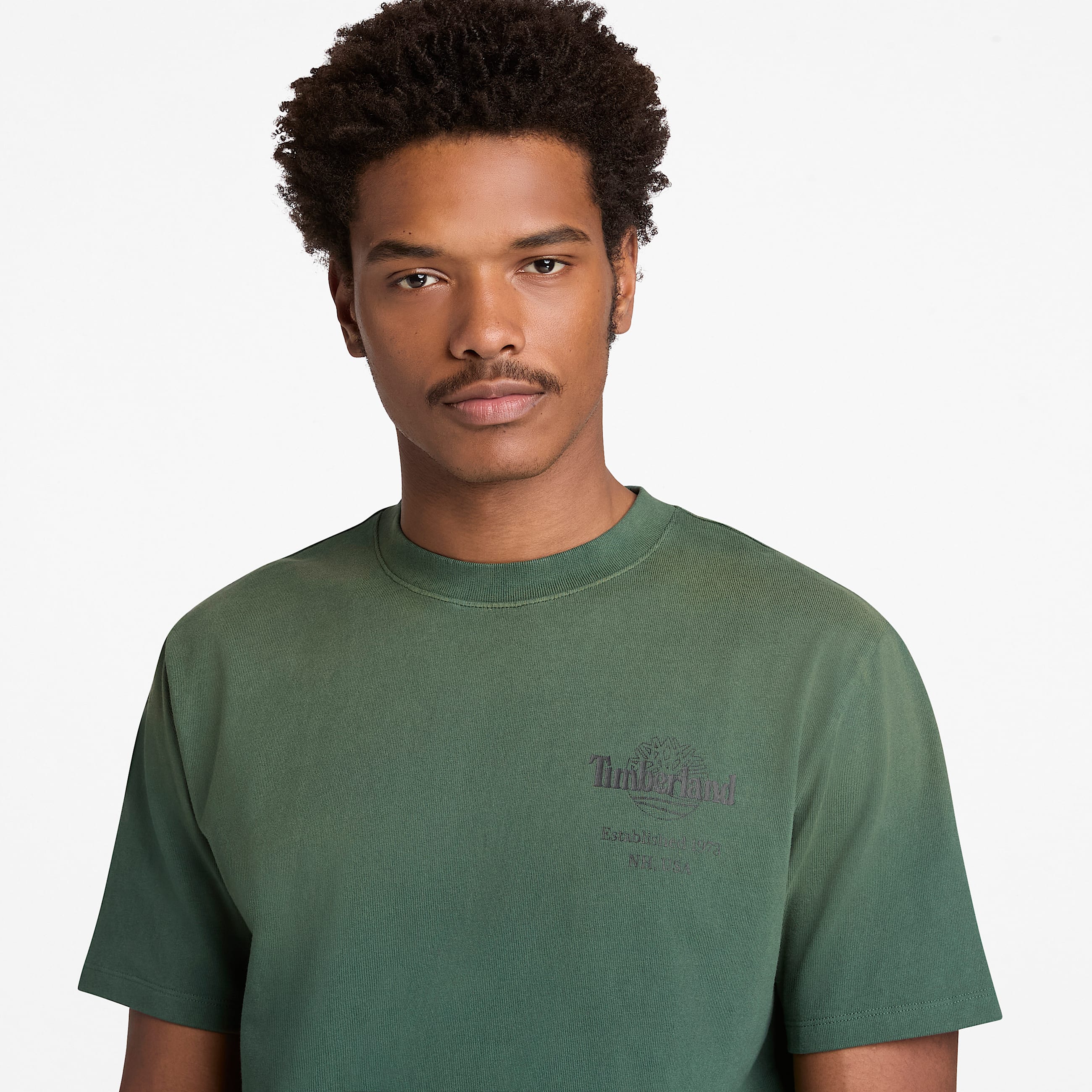 Sunfaded Heavyweight TShirt mit BaumLogo und Grafik fr Herren in Dunkelgrn TBL Grn ALT3