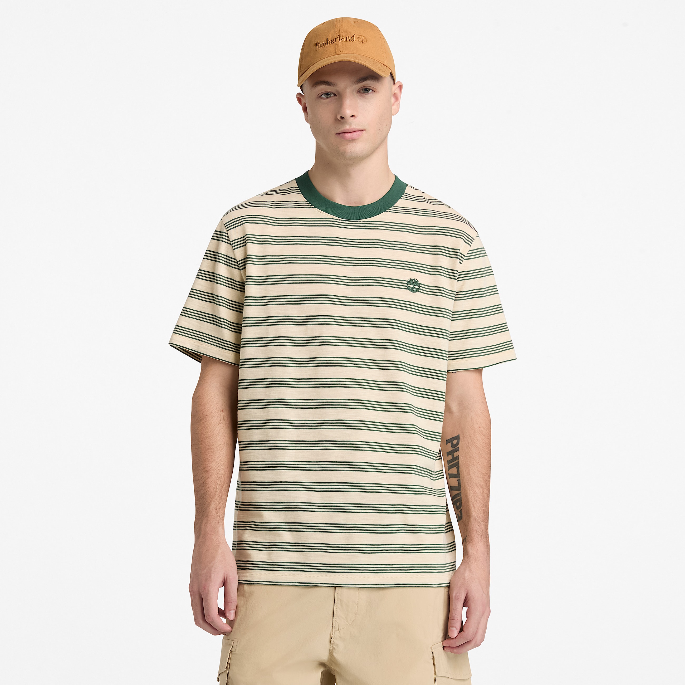 Striped ShortSleeve TShirt for Men in BeigeDark Green TBL Beige ALT1