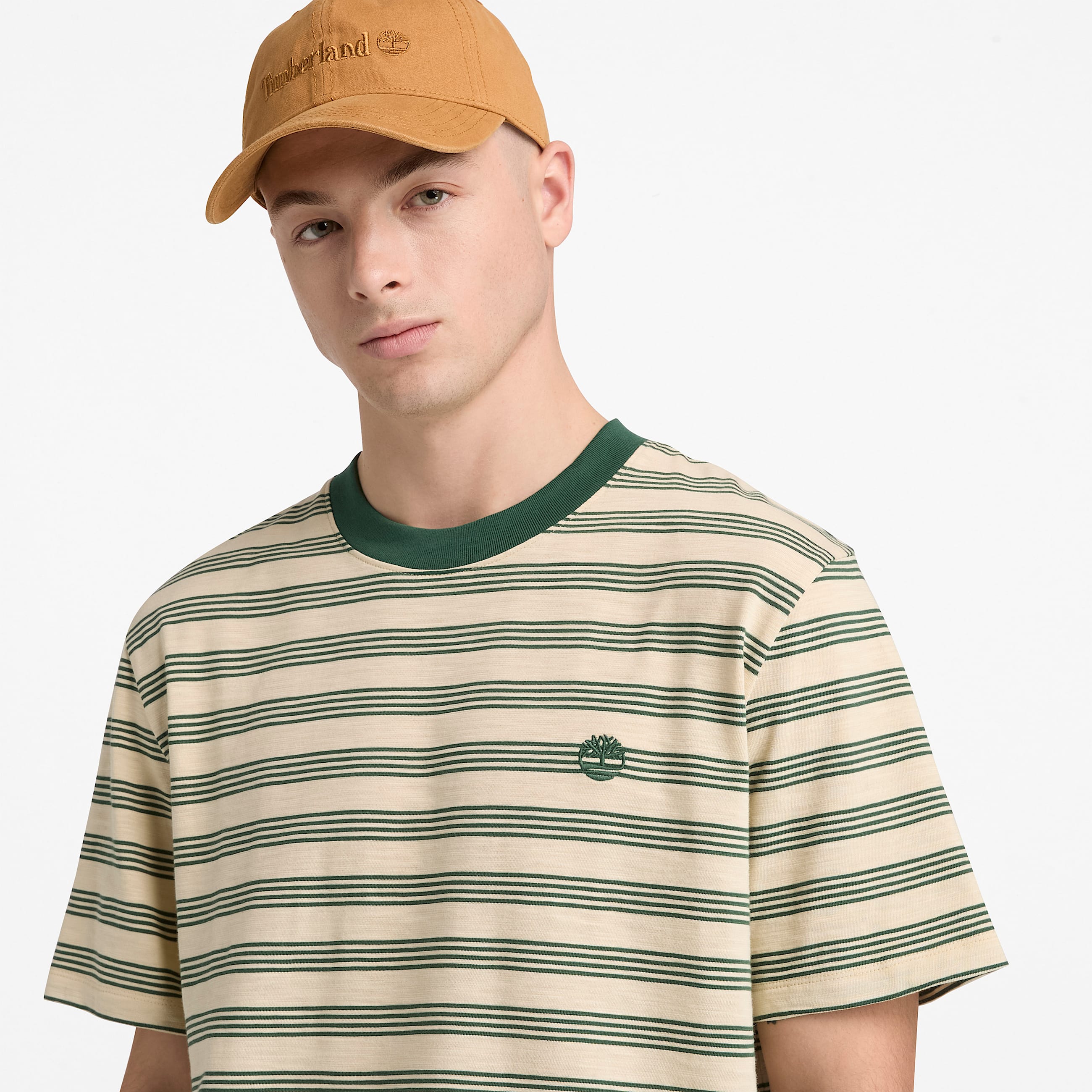 Striped ShortSleeve TShirt for Men in BeigeDark Green TBL Beige ALT3