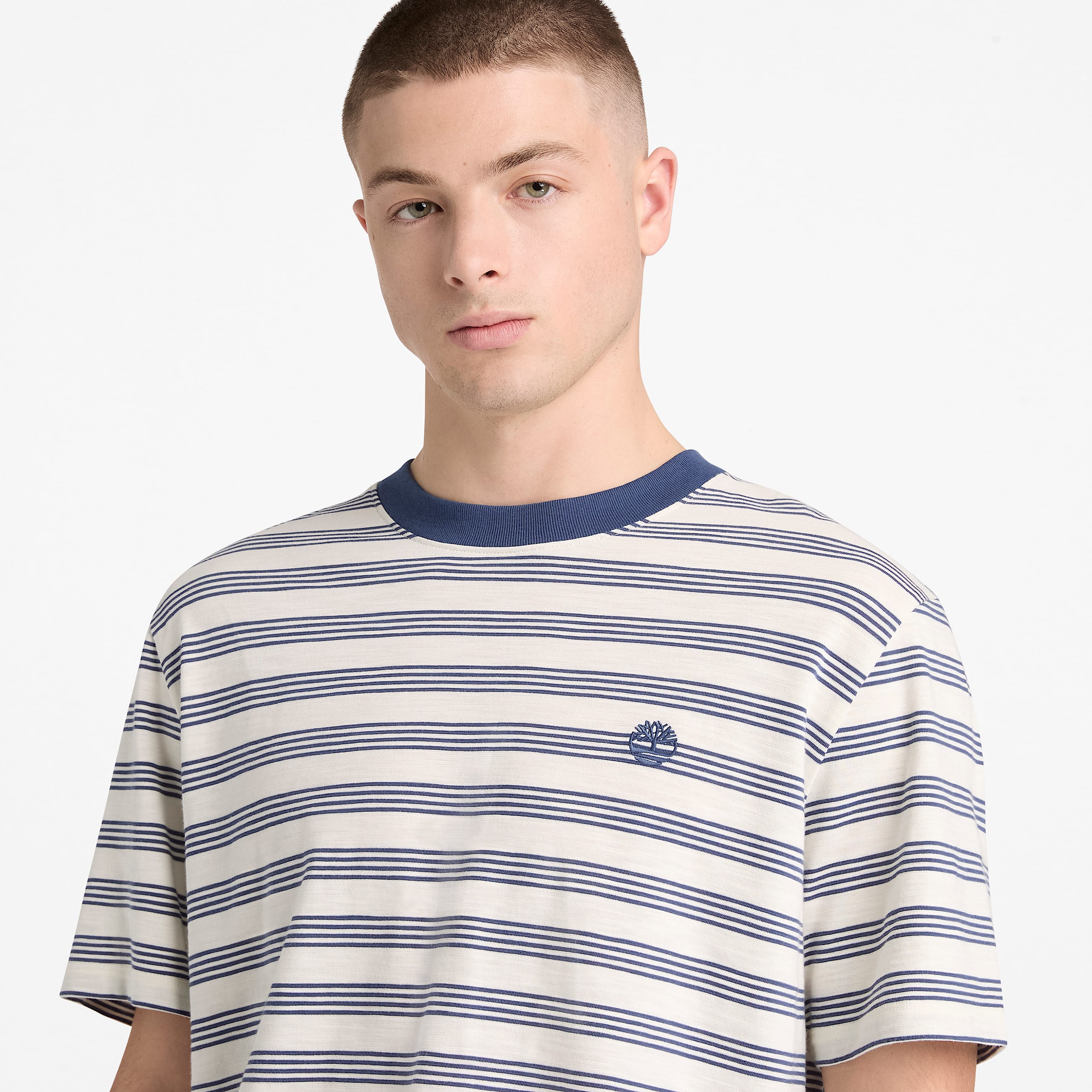 Striped ShortSleeve TShirt for Men in WhiteDark Blue TBL Blue ALT3