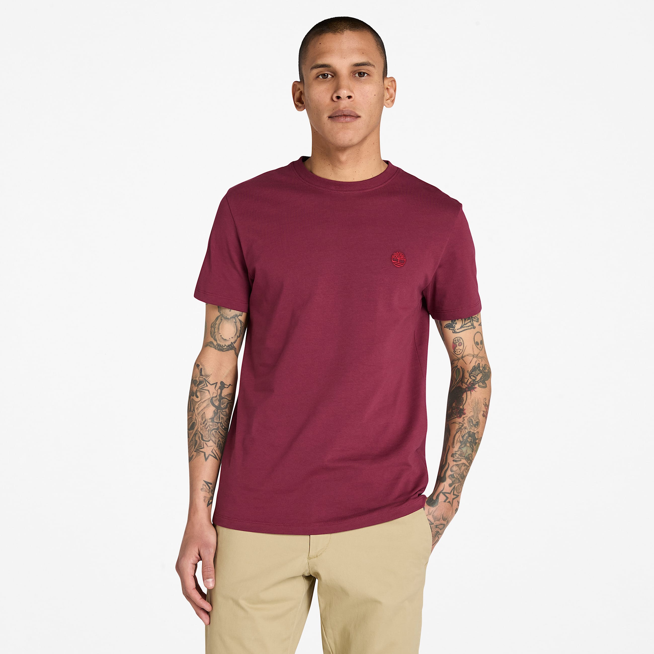 Dunstan River ShortSleeve TShirt for Men in Burgundy TBL Burgundy ALT1