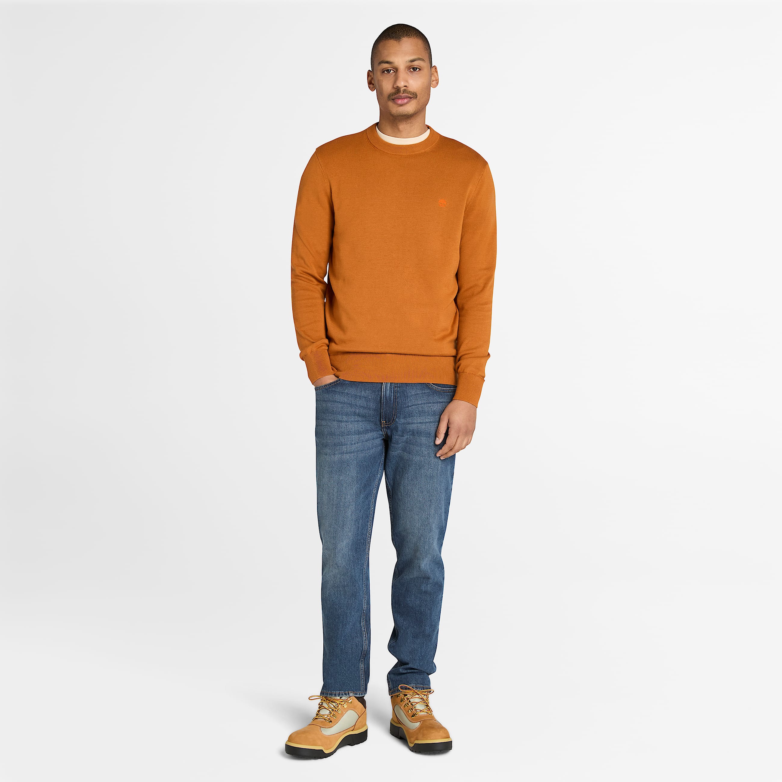 Williams River Cotton Jumper for Men in Brown TBL Brown ALT2