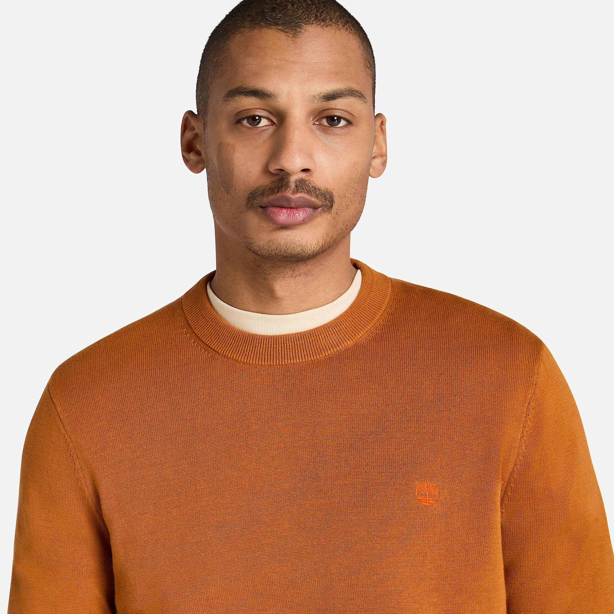 Williams River Cotton Jumper for Men in Brown TBL Brown ALT3