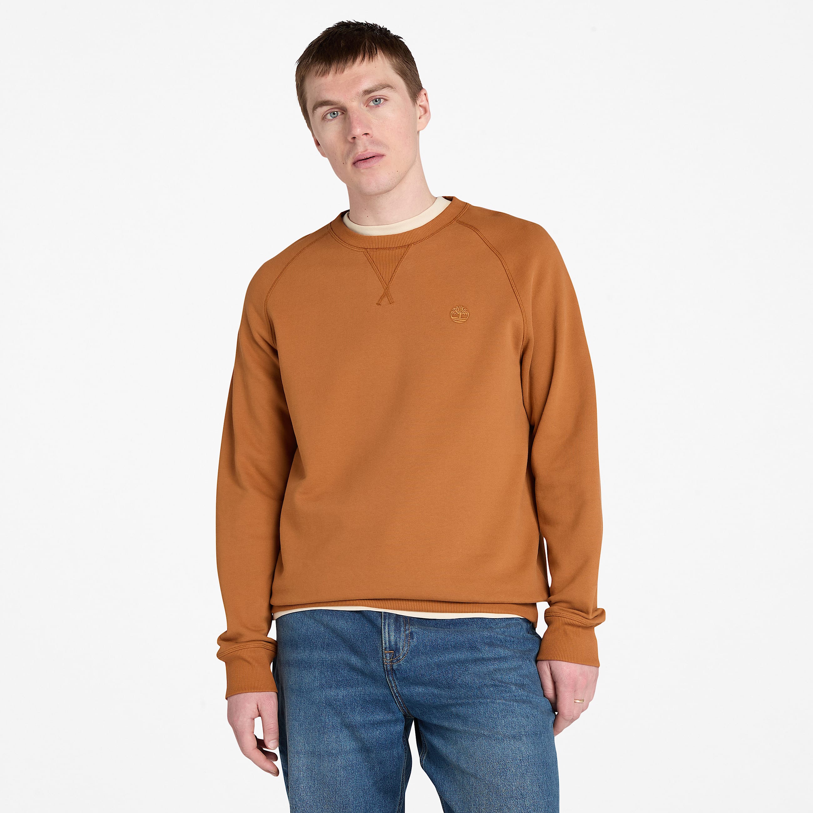 Exeter River Brushed Back Crewneck Sweatshirt for Men in Brown TBL Brown ALT1