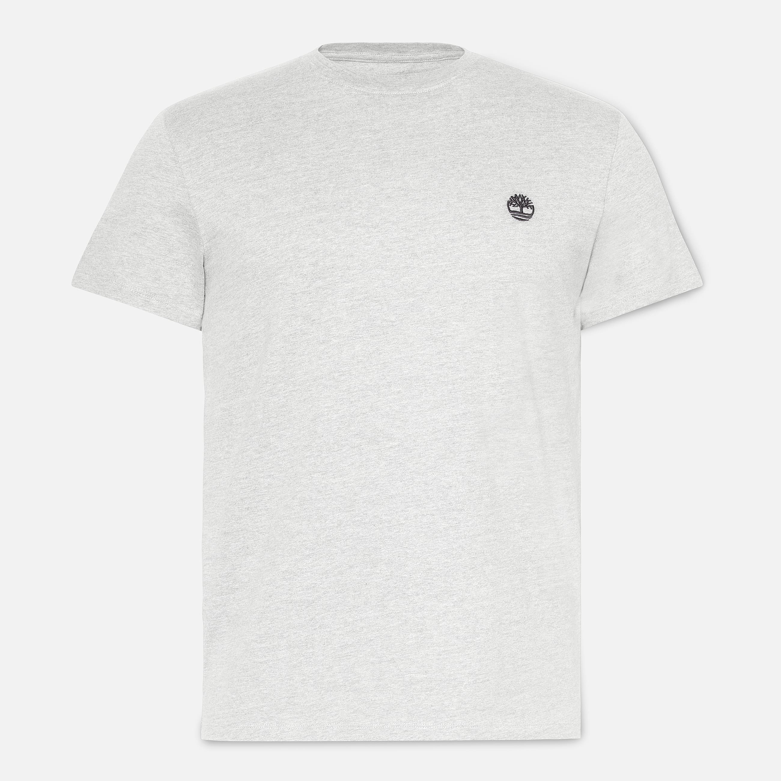 Dunstan River ShortSleeve TShirt for Men in Grey TBL Grey HERO