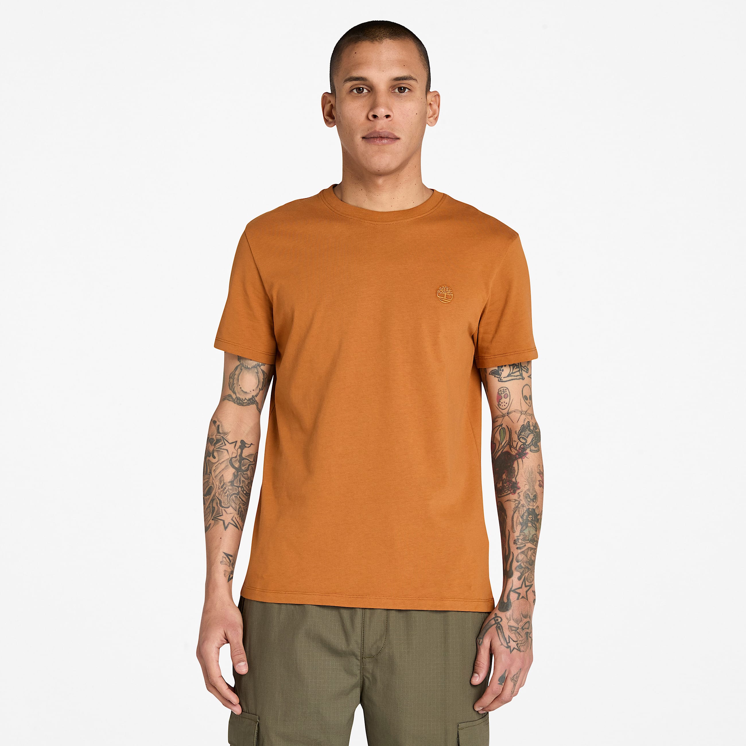 Dunstan River ShortSleeve TShirt for Men in Brown TBL Brown ALT1