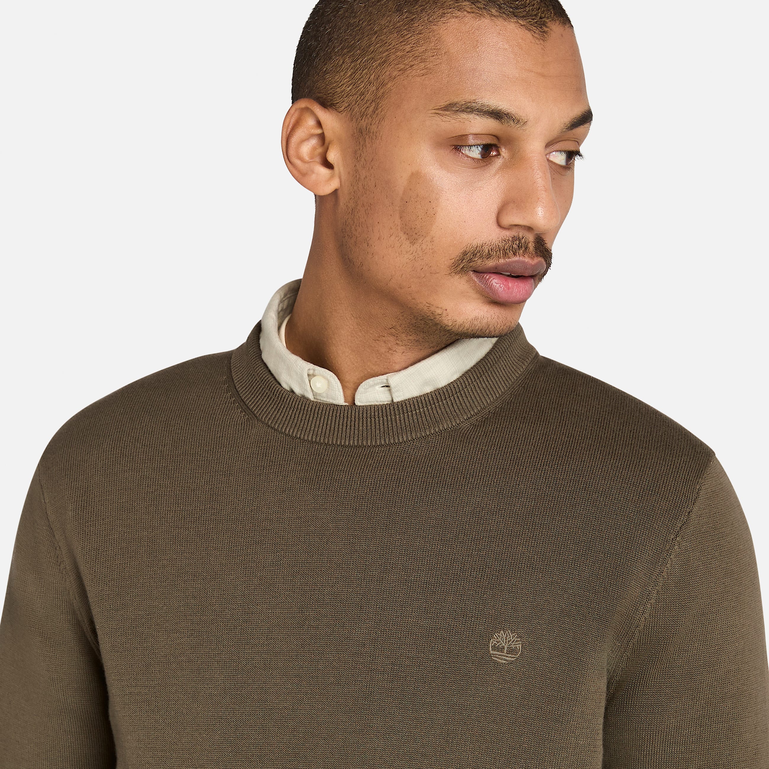 Jersey de algodn Williams River para hombre en verde TBL verde ALT3