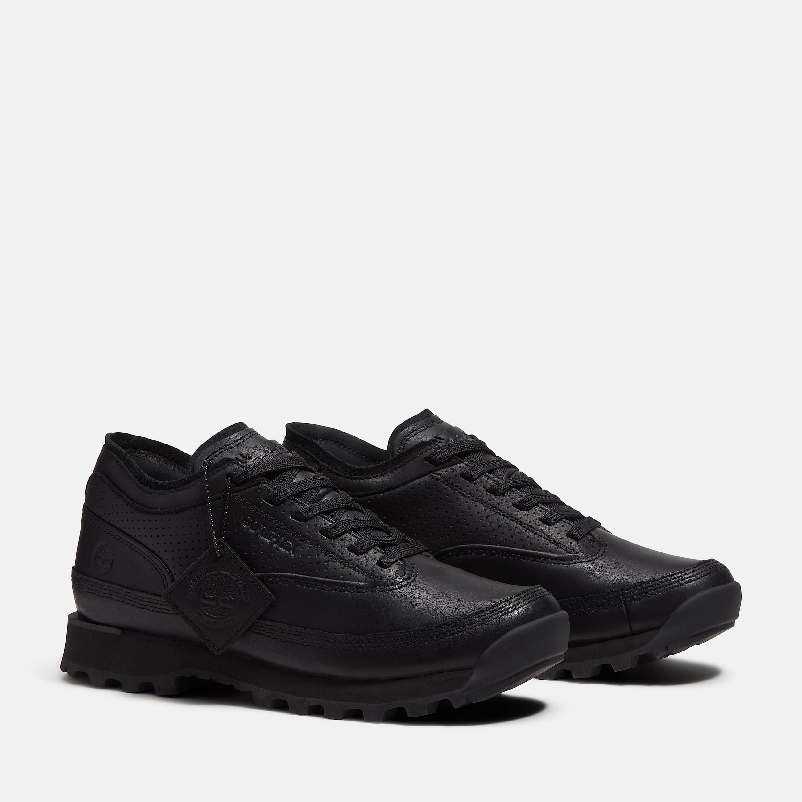 Euro Hiker Low with GORETEX Membrane for Men in Black TBL Black ALT4